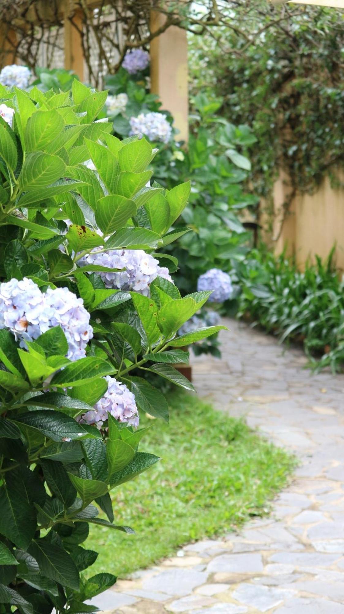 Hotel Bich Dao Boutique - Dalat Esterno foto