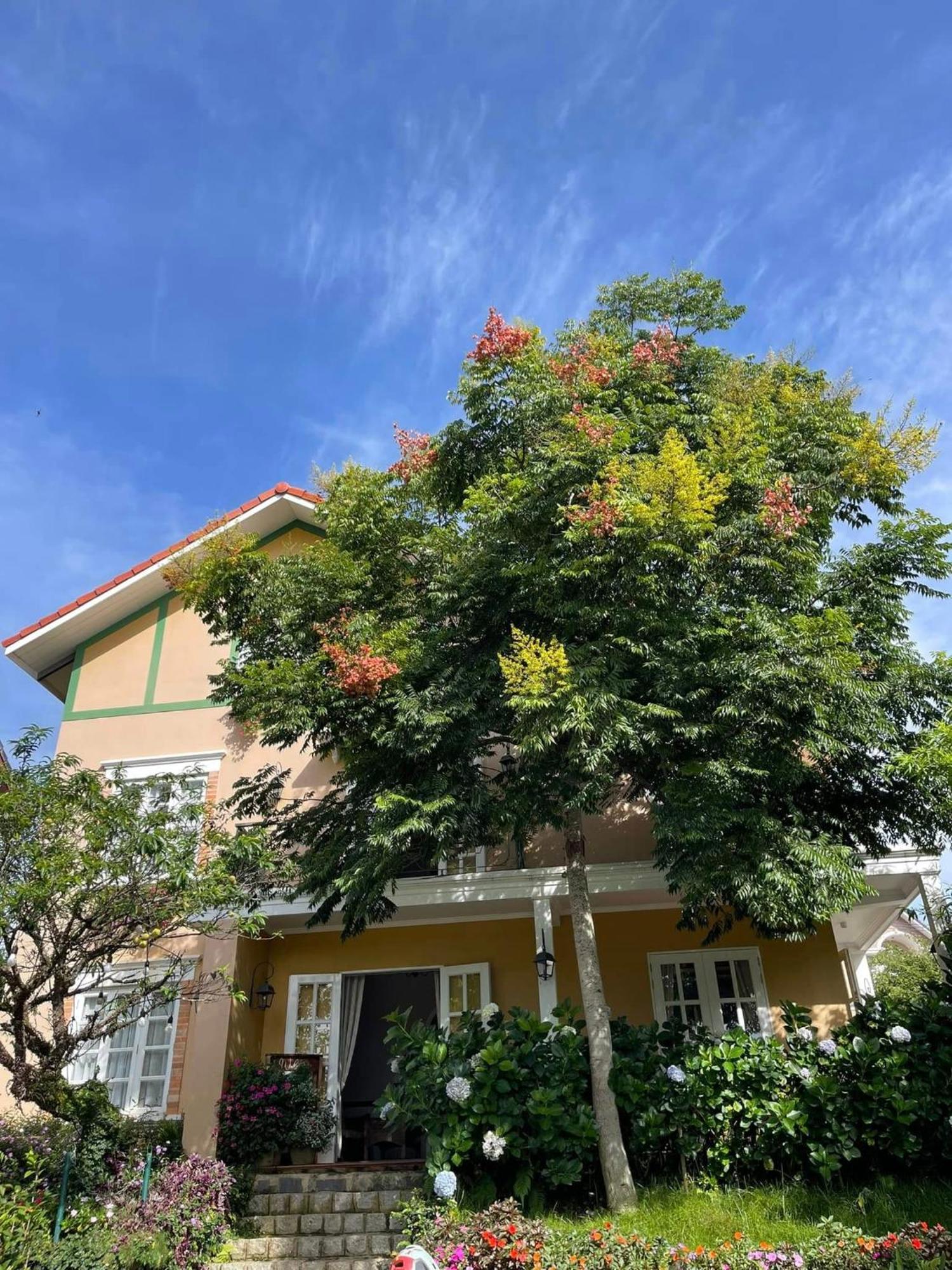 Hotel Bich Dao Boutique - Dalat Esterno foto