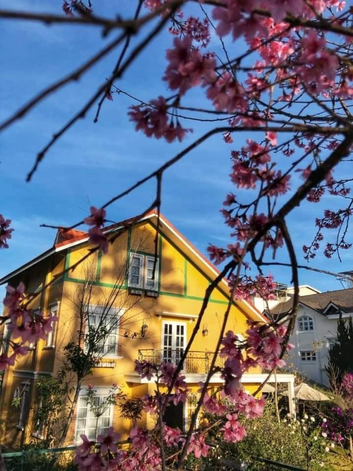 Hotel Bich Dao Boutique - Dalat Esterno foto