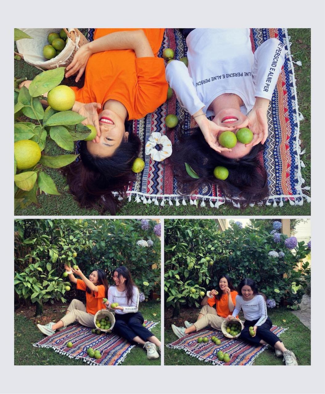 Hotel Bich Dao Boutique - Dalat Esterno foto