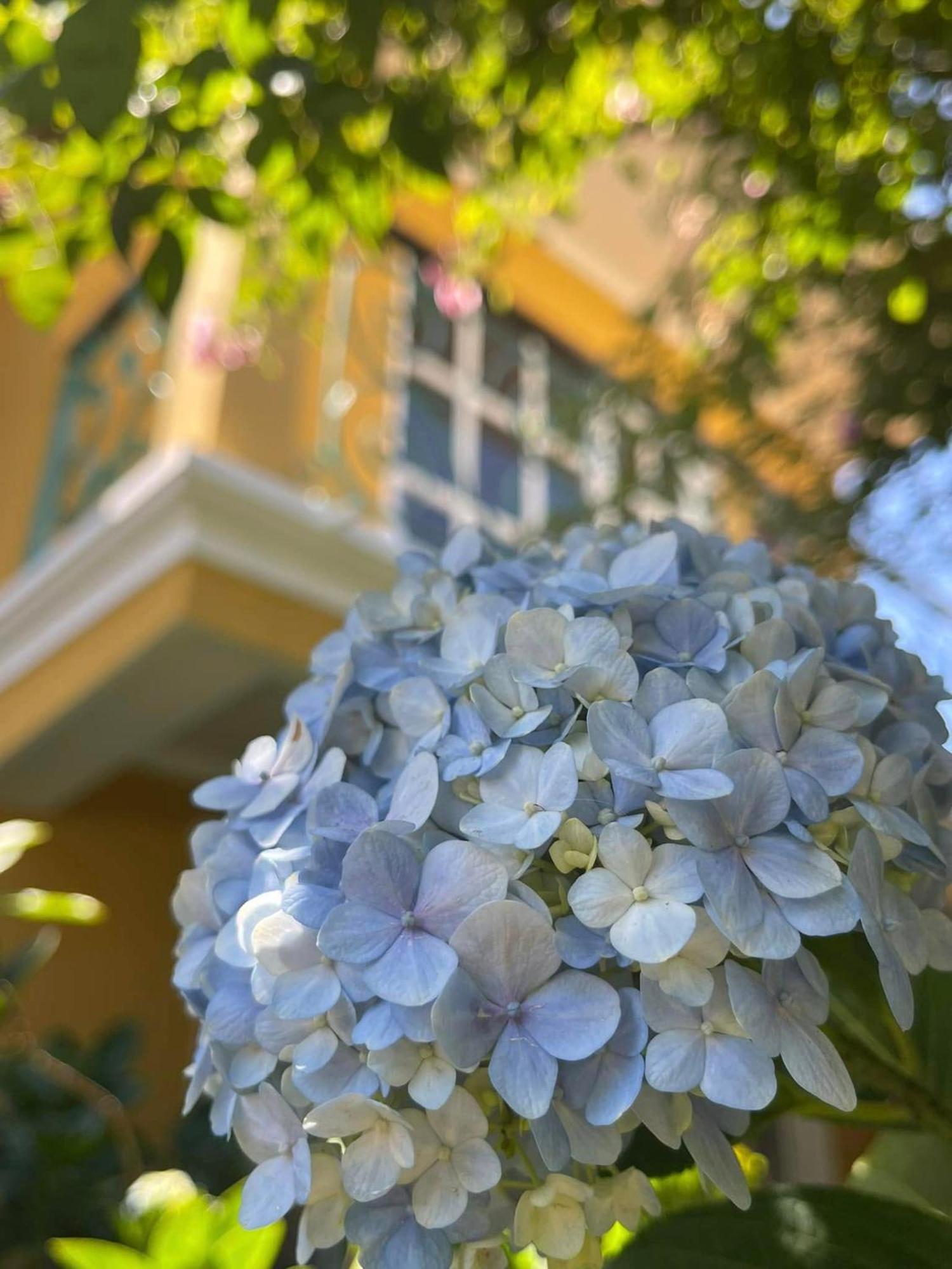 Hotel Bich Dao Boutique - Dalat Esterno foto